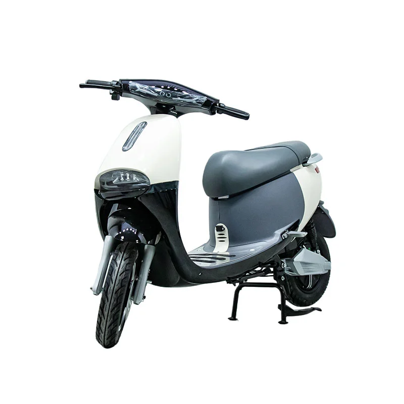 Motocykl elektryczny z motocyklem 10 -calowym 1000 W